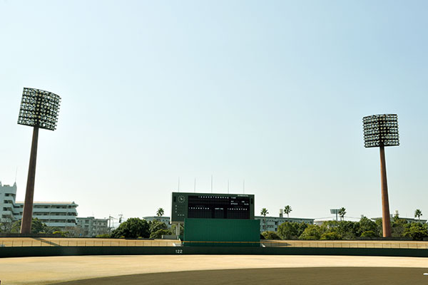 Standard Baseball Field