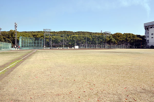 Rubber Ball Baseball Field
