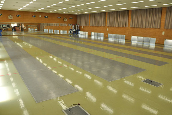 Fencing Arena